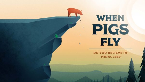 When Pigs Fly Week 1 Image